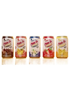 SHAKE UP 330ml - THE...